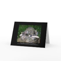 Canadian Beaver Sculpture with Beaver Stick Card