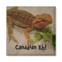 Canadian Eh! - magnet