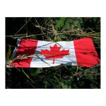 Canadian Flag Poster posters