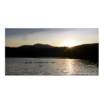 Canadian geese and sunset over Spring Valley Reser posters