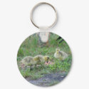 Canadian Geese Babies Nature Photo Keychain by SmilinEyesTreasures Canadian Geese Babies Nature Photo Keychain