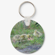 Canadian Geese Babies Nature Photo Keychain