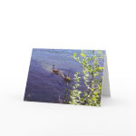 Canadian Geese Family card
