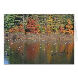 Canadian Geese In Autumn Nature Greeting Note Card card