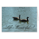 Canadian Geese, Life's Wonderful...! cards by Designs_by_Tina Canadian Geese, Life's Wonderful...! cards