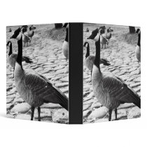 Canadian Geese Near The Lake Binder