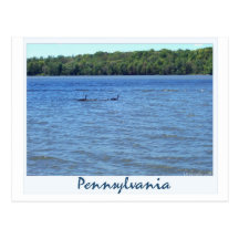 Canadian Geese on Shenango Lake Post Cards