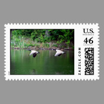 Canadian Geese postage stamp