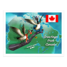 Canadian Geese Postcards