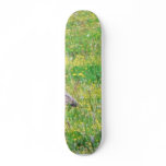 Canadian Geese Skateboards