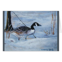 Canadian Goose cards by klocke Canadian Goose cards