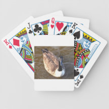 Canadian Goose Card Decks