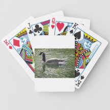 Canadian Goose Card Decks
