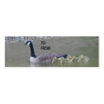 Canadian Goose Mom Babies Nature Gift Tag Business Cards