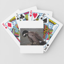 Canadian Goose Playing Cards