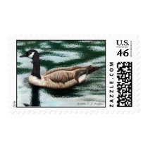 'Canadian Goose' postage