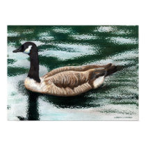 'Canadian Goose' posters by Pro_Artz 'Canadian Goose' posters