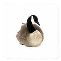 Canadian Goose posters by sexycher Canadian Goose posters