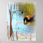 Canadian Goose Print