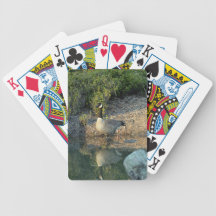 Canadian Goose Reflection Card Decks
