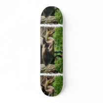 Canadian Gosling Skateboard