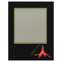 Canadian Lilly Letterhead Design