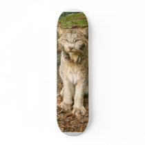 Canadian Lynx 0169e skateboards
