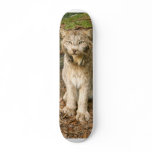 Canadian Lynx 0169e Skateboard