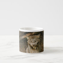 Canadian Lynx 0173 mugs