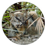 Canadian Lynx 0344e Round Clocks