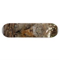 Canadian Lynx 1915e skateboards by BCRcats Canadian Lynx 1915e skateboards