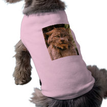 Canadian Lynx 4200e pet clothing by BCRcats Canadian Lynx 4200e pet clothing