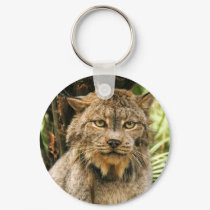 Canadian Lynx 4200e keychains
