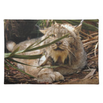 Canadian Lynx 4201e placemats