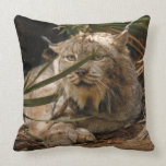 Canadian Lynx 4204 Pillow