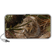Canadian Lynx 4208 iPhone Speaker