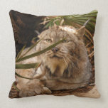 Canadian Lynx 4208 Pillows