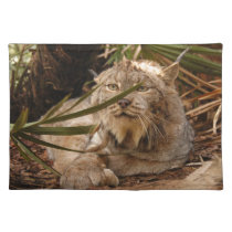 Canadian Lynx 4208 placemats