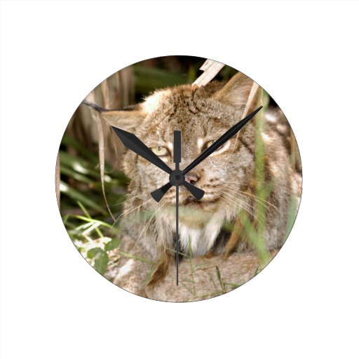 Canadian Lynx 8600 Clock