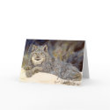 Canadian Lynx notecard