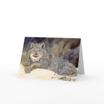Canadian Lynx notecard
