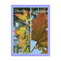 CANADIAN MAPLE LEAVES BOOKMARKS postcards