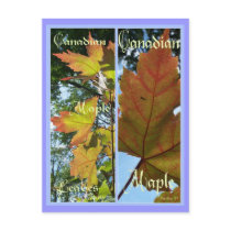CANADIAN MAPLE LEAVES BOOKMARKS postcards