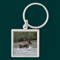 Canadian Moose Wildlife Animal keychains