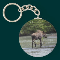 Canadian Moose Wildlife Animal keychains
