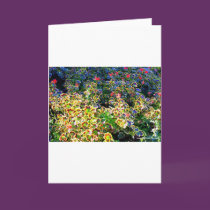 Canadian Nature cards