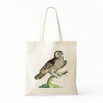 Canadian Owl Tote Bag by AntiqueImages Canadian Owl Tote Bag