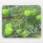 Canadian Pine Tree Mousepad