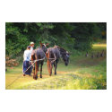Canal Boat Mules posters by almedic104 Canal Boat Mules posters