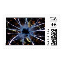 Canapy postage by Increality Canapy postage